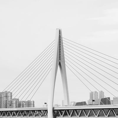 Landmark Bridge Project of the Year